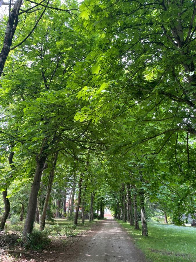 Domaine La Belle Histoire - Gite Cote Parc Besset ภายนอก รูปภาพ